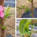 목인농장 이미지