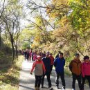 우포늪생명길 이미지