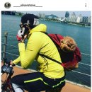 박은석 카카오 검색결과