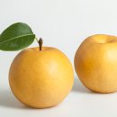 에이트짐 PT 노형점 이미지