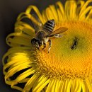 알라딘 골프스쿨 이미지