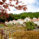 하니홈스공인중개사사무소 이미지