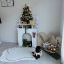 괴산펜션 | 충북 괴산 애견동반 독채펜션 스테이소몽 솔직 후기