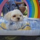 흥정계곡 가을동화펜션 이미지