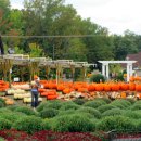 행렬농장 이미지