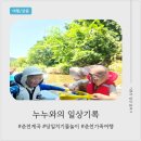 춘천 지암리 놀이터 펜션 | 💦 누누 친구 가족들과 지암리 물암골펜션 글램핑 물놀이 당일치기 🌿