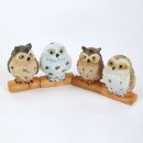 엘앤에스(주) 이미지