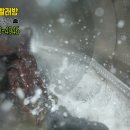 기름이 맑은세탁 이미지