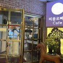 피콜로빠체 이미지