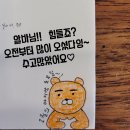 리프패럿 이미지