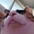 서정형외과의원 이미지