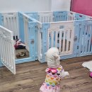 윤퍼피살롱 이미지