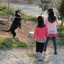 미주농장 이미지