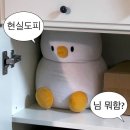 바보탱이 | [방탈출] 저 너무 힘들어요.._전래동 자살사건 후기