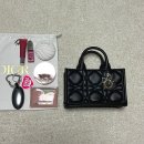 북20 | [DIOR] 디올 입문백으로 추천드리는 미니 북토트 후기 / 명품백 입문백 / 20대 디올 명품백 추천