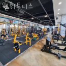 스포원휘트니스 이미지