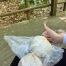 삼가야영장매점 | 소백산 삼가 야영장 코스 등산 후기