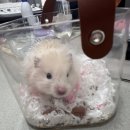 (주)팀써니트 | 새해에는 갓생을 살아보려고 해요 (과연 얼마나 갈 것인가)