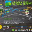 숲속나들이길 이미지