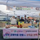 송학중학교 이미지