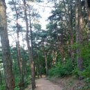 금굴농장 이미지