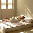 한일수퍼 | 디센느 탄소매트 전자파없는 한일 카본 전기매트 1인용 슈퍼싱글 후기