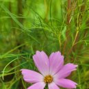 스마트폰교육 이미지