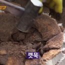 현대떡방앗간 - 강남구 압구정로29길 72-1 | 현대떡방앗간