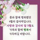 낙동강자전거길4 Daum카페