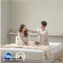 슈퍼럭스 | 지누스 얼티마 럭스S 하이브리드 매트리스 슈퍼싱글 허리 편한 가성비 침대 후기