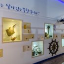 제주해양동물박물관 이미지