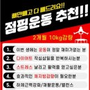 점핑체형교정 이미지