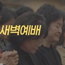 영성일기 2026.10.27.(화) 새벽기도회 (찬송) 183장 빈들에마른풀같이 (성경)삼하 11:1-2 바람이 없는 날 이미지