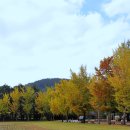 강진대구중학교 이미지