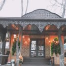 [러시아여행]블라디보스톡 2박3일 자유여행 음식점3. 제이튠(zeytun)