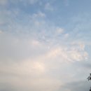 청학당