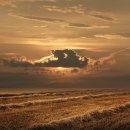 선학스파24시불한증막사우나 이미지