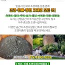 초부1리 이미지