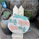 토마루농장 이미지