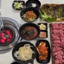 황제꽃소 이미지