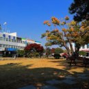 곡성-135 이미지