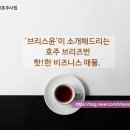 브리스윤서 이미지