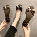 데일리 피쉬 이미지