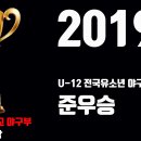 2019 U-12전국유소년 야구대회 준우승! 이미지