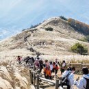 한철 피서지? 강원은 &#39;사계절&#39; 체류형 관광지로 변신 중 이미지