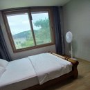 스테이 도트 이미지