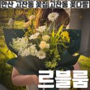 광덕4로2 | 안산 고잔동 꽃집 여자들이 좋아하는 화이트 꽃다발 무인 픽업 후기 르블룸