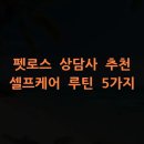 펫로스 케어 | 펫로스 상담사 추천 셀프케어 루틴 5가지