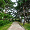 화진포역사안보전시관 이미지