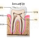 김태영치과의원 이미지
